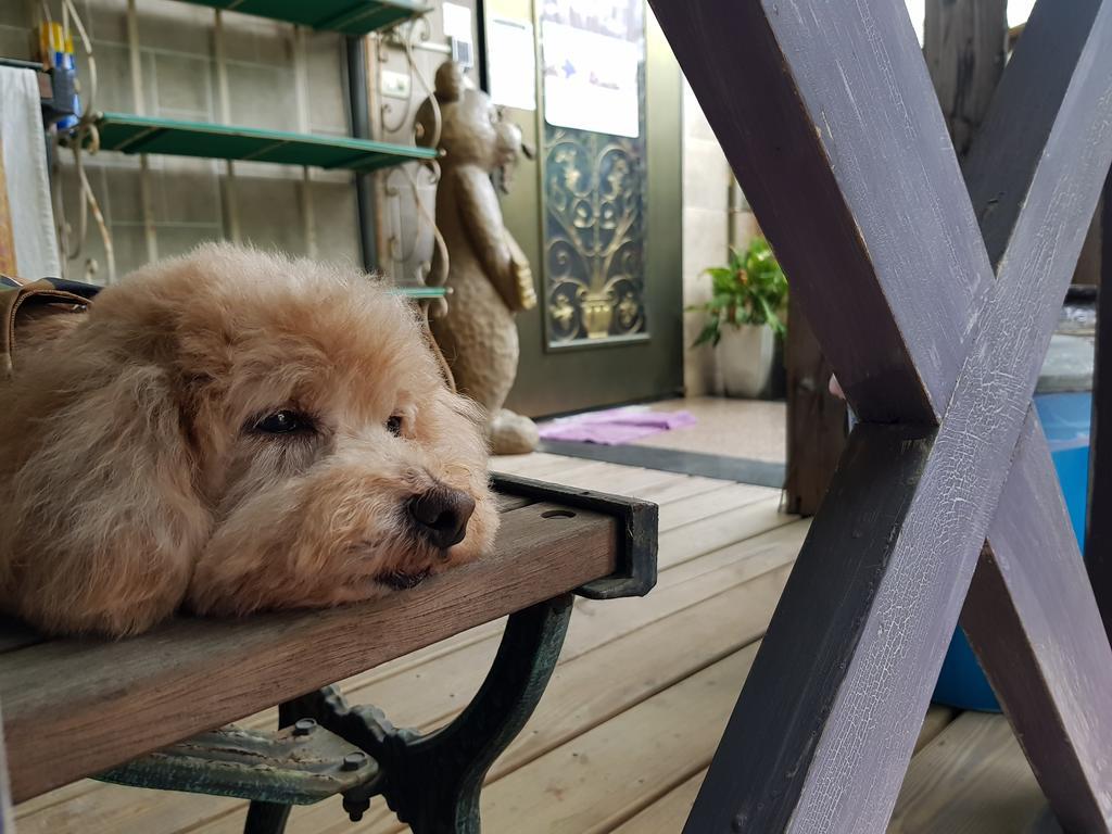 Bearbear Homestay Hualien Eksteriør bilde
