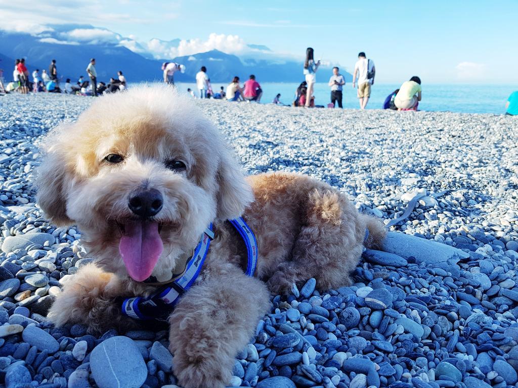 Bearbear Homestay Hualien Eksteriør bilde